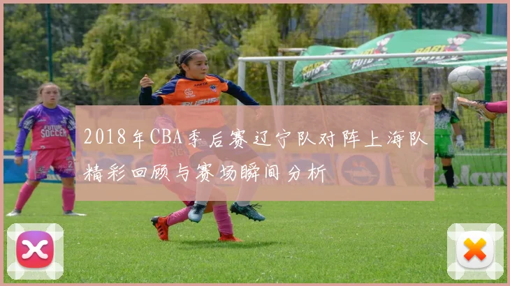 2018年CBA季后赛辽宁队对阵上海队精彩回顾与赛场瞬间分析