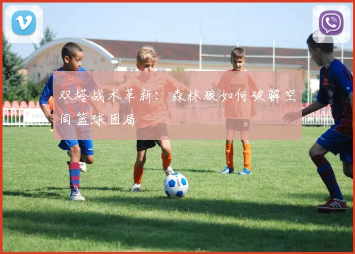 双塔战术革新：森林狼如何破解空间篮球困局