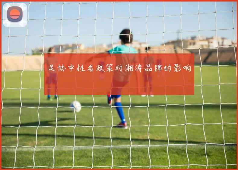足协中性名政策对湘涛品牌的影响