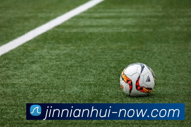 jinnianhui发展历程